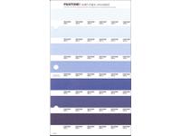 PANTONE PMS SOLID CHIPS ERSATZSEITE 110U