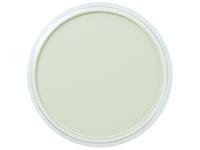 PANPASTEL 9ML CHROMIUM OXIDE GREEN TINT 660.8