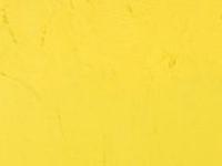 GAMBLIN CONSERVATION COLORS 15ML NEAPELGELB HELL