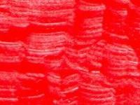 ARA ACRYLFARBE 250ML 710 NEON RED