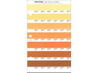 PANTONE PMS SOLID CHIPS ERSATZSEITE 21U