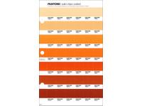 PANTONE PMS SOLID CHIPS ERSATZSEITE 24C