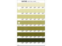 PANTONE PMS SOLID CHIPS ERSATZSEITE 204C