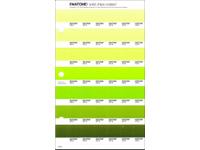 PANTONE PMS SOLID CHIPS ERSATZSEITE 198C