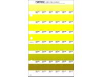 PANTONE PMS SOLID CHIPS ERSATZSEITE 208C