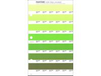 PANTONE PMS SOLID CHIPS ERSATZSEITE 196U
