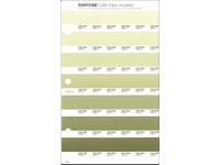 PANTONE PMS SOLID CHIPS ERSATZSEITE 202U