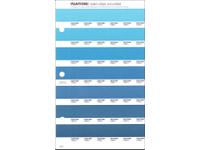 PANTONE PMS SOLID CHIPS ERSATZSEITE 149U