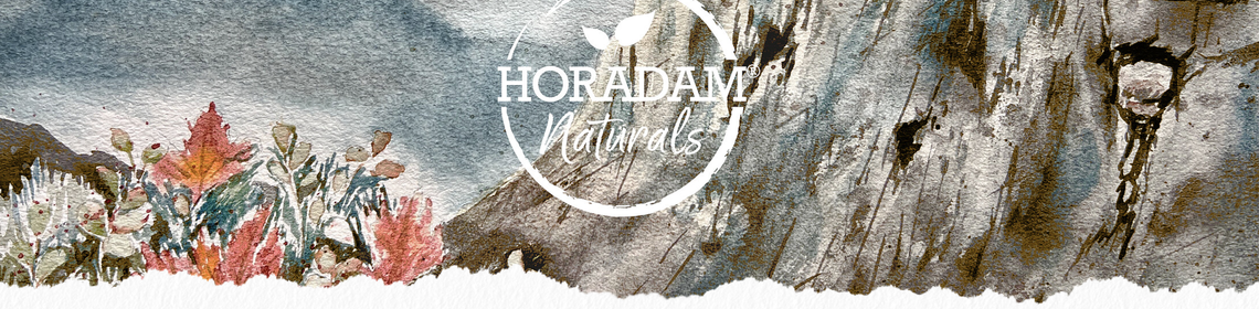 SchminckeHoradam-1140x280.png