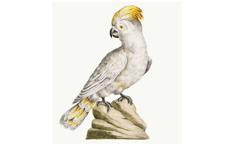 ets_bird.png