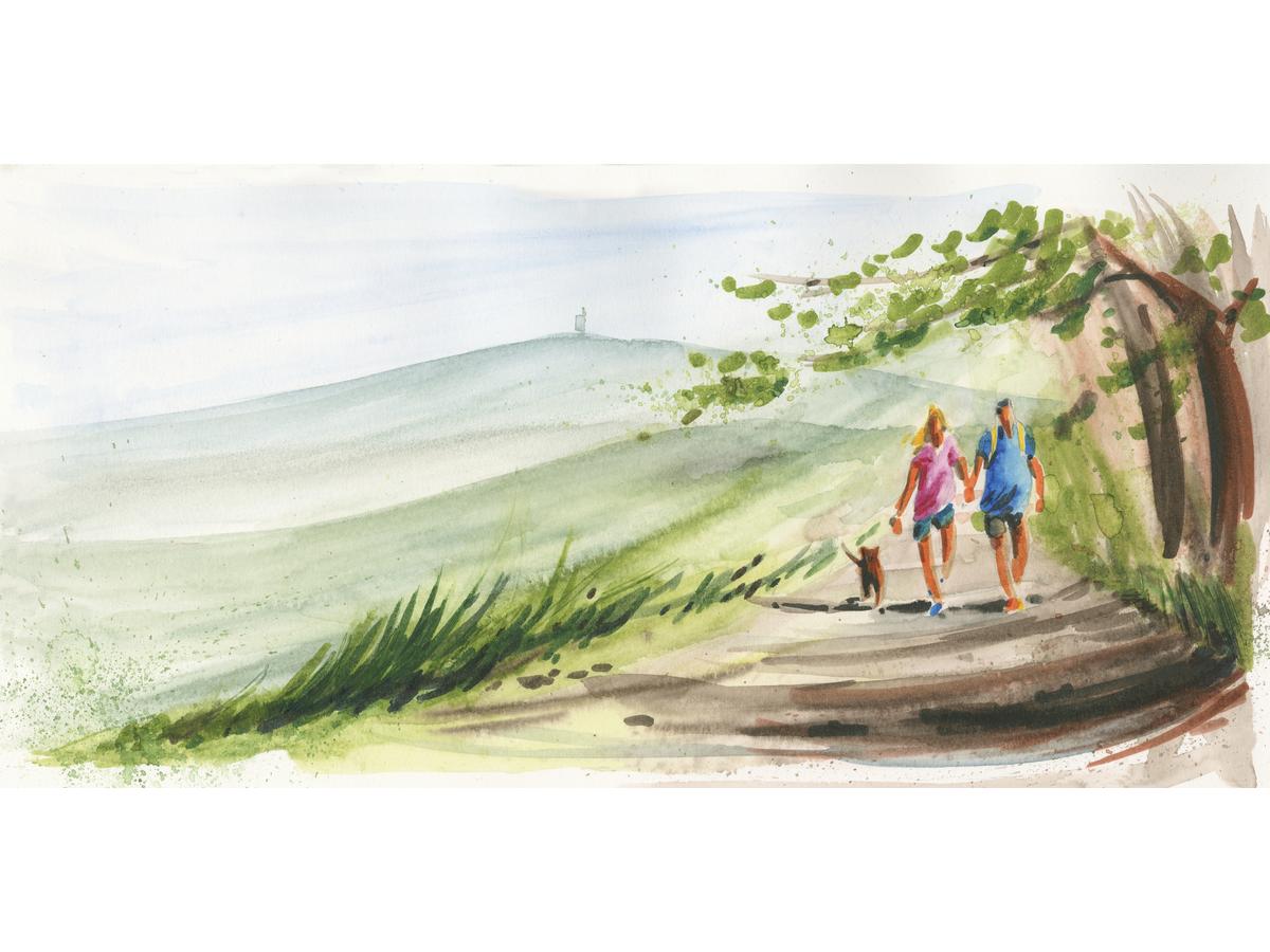 FABER-CASTELL DÜRER AQUAREL MARKERSET 16ST.+ AQUABRUSH LEER 4