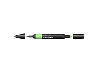 WINSOR & NEWTON PROMARKER APPLE G338 2
