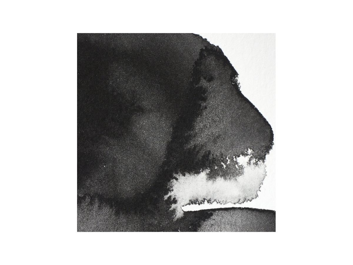 WINSOR & NEWTON AQUARELLFARBE 5ML 331 ELFENBEINSCHWARZ 2