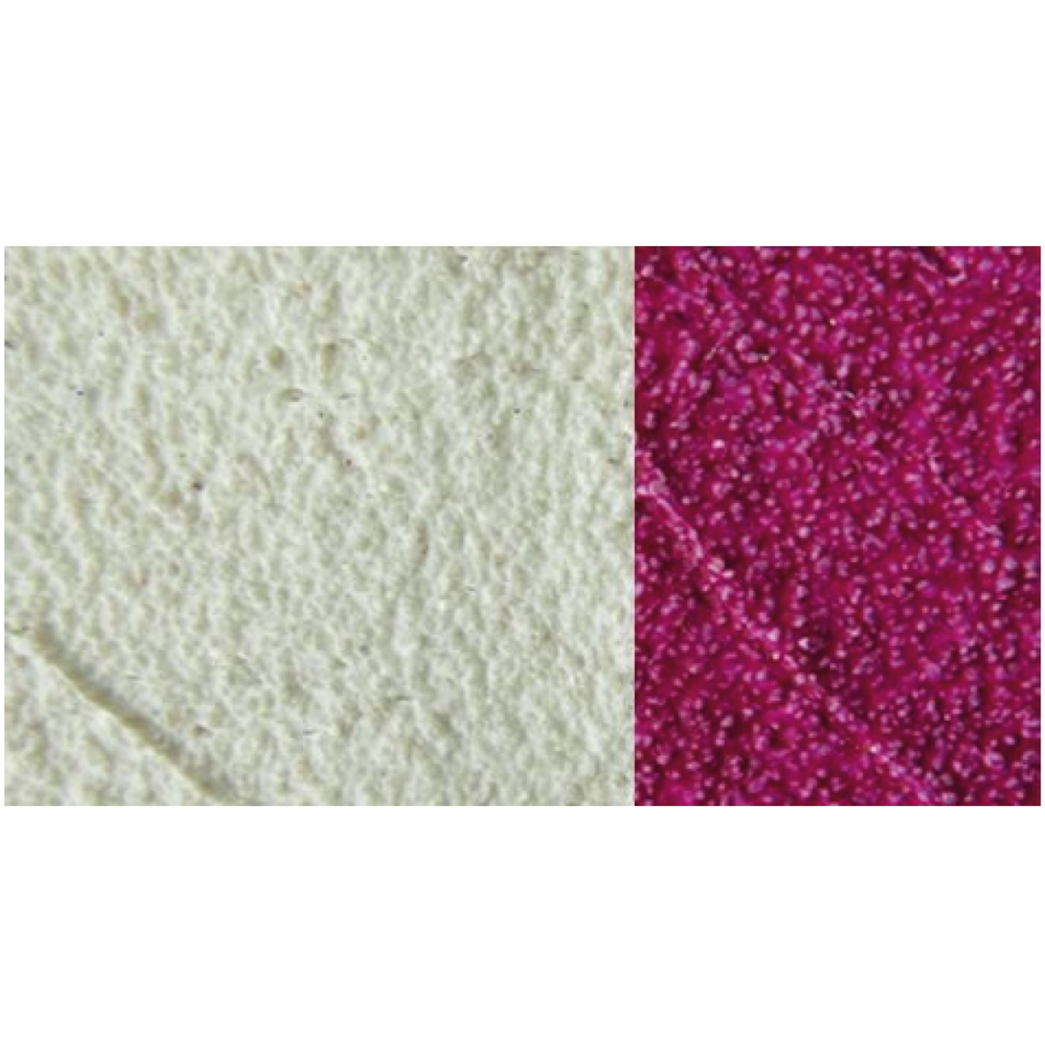 LASCAUX MODELLIERPASTE C NATURAL 2023 5L 3
