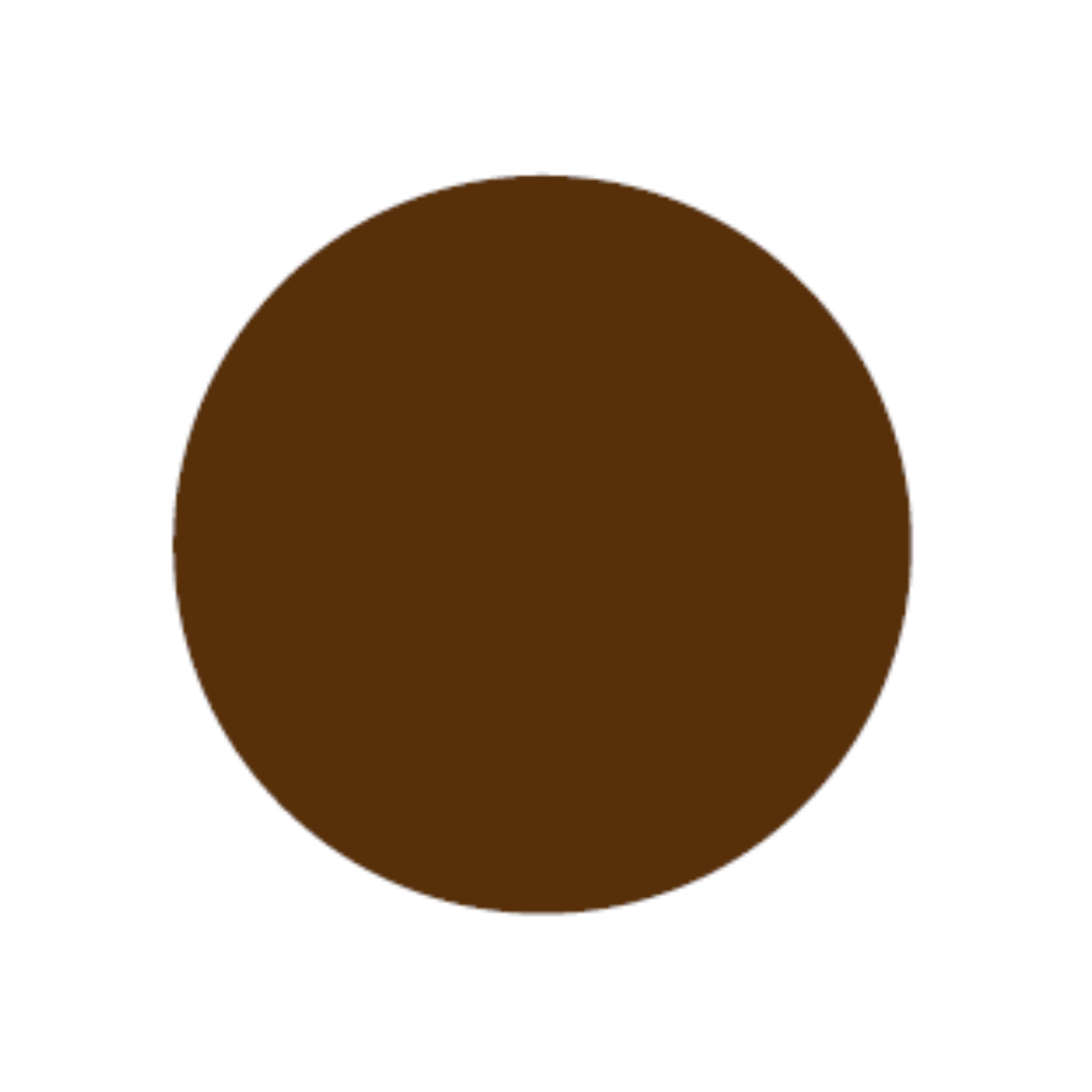 GHIANT EXPERT ACRYL 300 ML BROWN  025 2