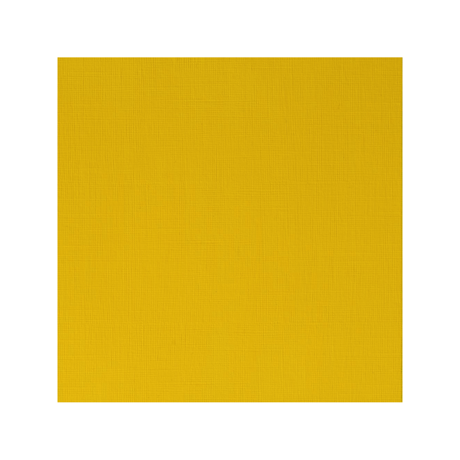 WINSOR & NEWTON PROFESSIONAL ACRYLIC 60ML 019 YELLOW MEDIUM 2