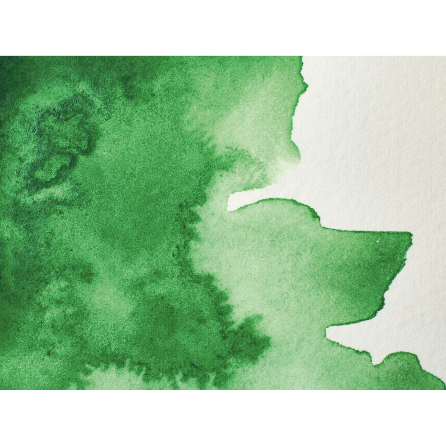 WINSOR & NEWTON AQUARELLFARBE 1/2NÄPF S2 CINNABAR GREEN 2